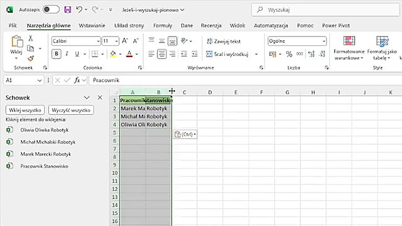 Wynik wklejenia z Schowka - wybrane wiersze w nowym arkuszu